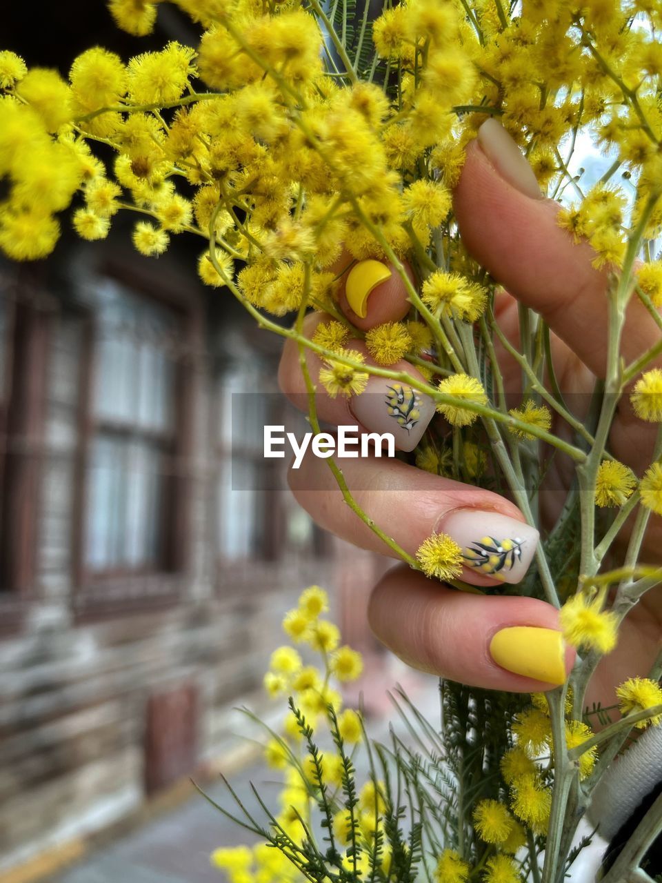 yellow, plant, one person, flower, flowering plant, hand, nature, adult, spring, women, holding, freshness, floristry, day, outdoors, beauty in nature, floral design, lifestyles, growth, close-up, focus on foreground, bouquet, architecture, fragility, tree, leisure activity, branch
