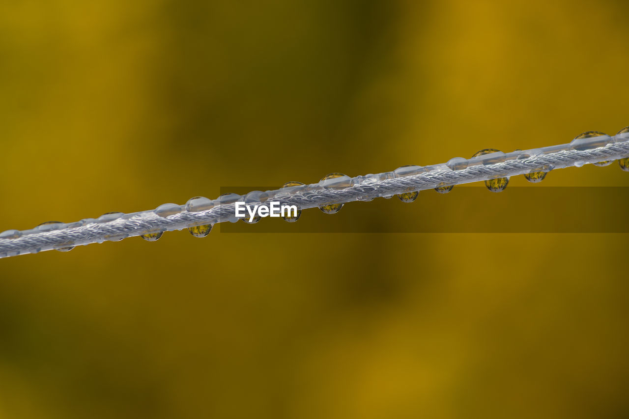 Close-up of steel rope