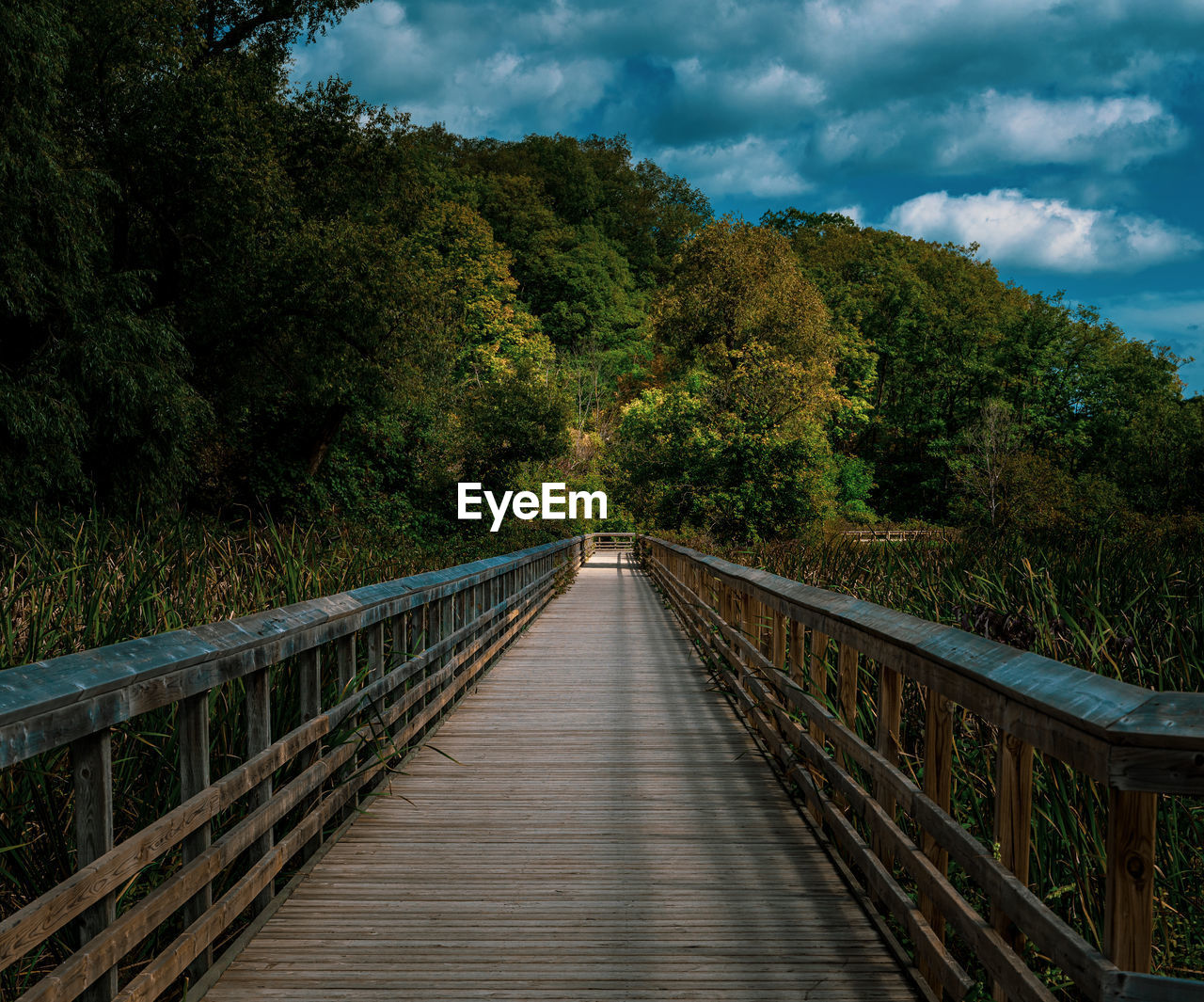 Point of view of a foot bridge 