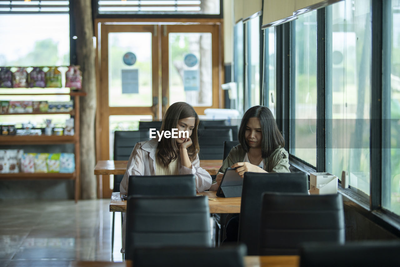 rear view of woman using mobile phone in cafe