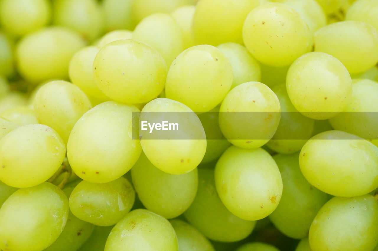 FULL FRAME SHOT OF GRAPES IN GREEN BACKGROUND