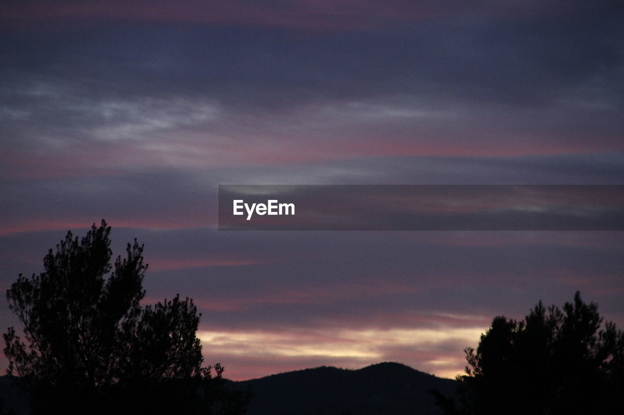 SILHOUETTE OF TREES AGAINST SKY AT NIGHT