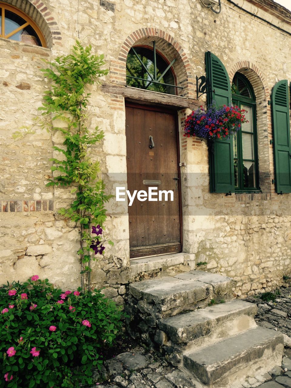 PLANTS AND HOUSE DOOR