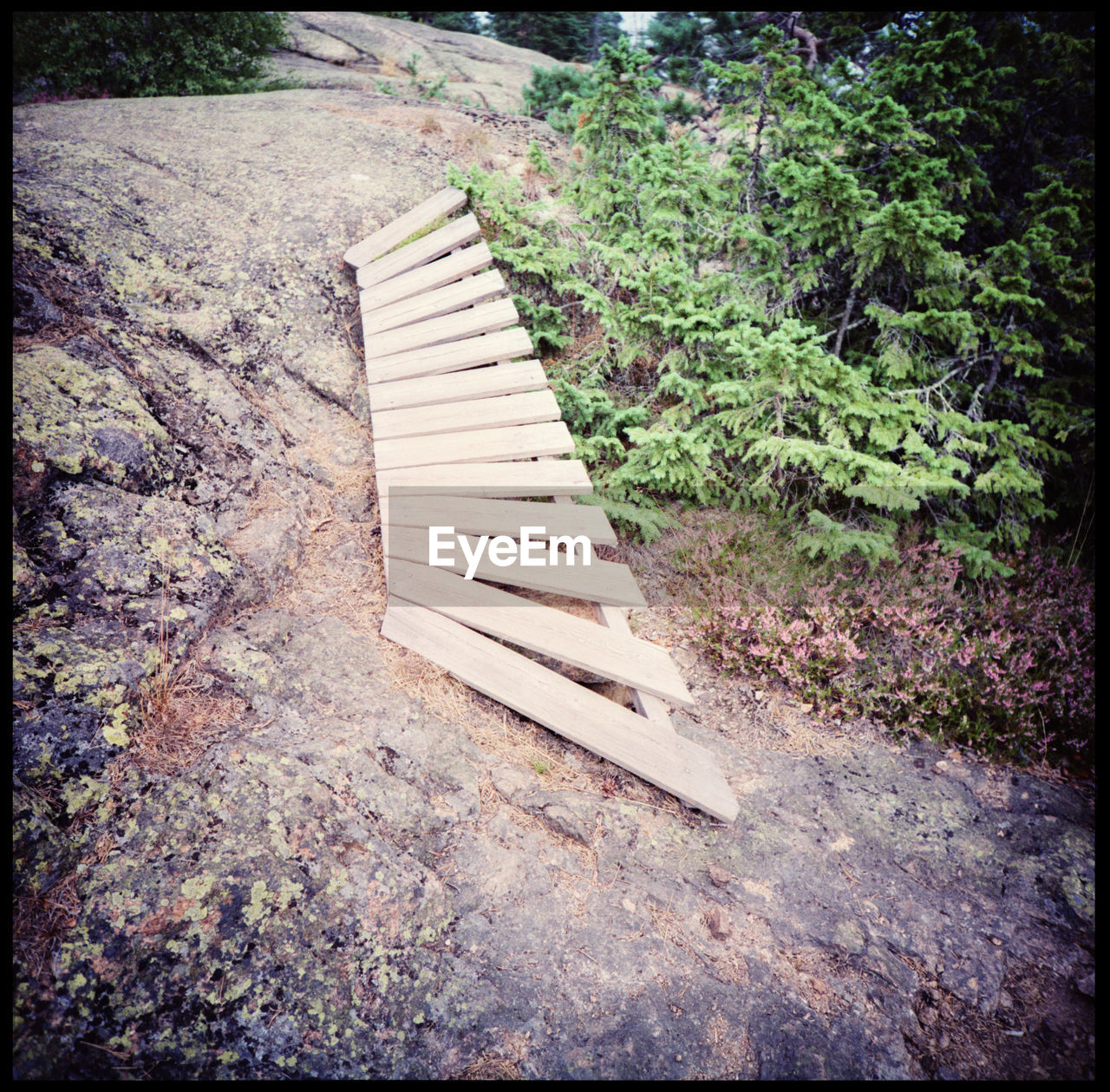 The bridge to nowhere at Skuleberget Analogue Photography Bridge Bridge In The Forrest Bridge To Nowhere Dead Tree Direction Sign Lake Mountain Mountain Bridge Mountain Hut No People Round Bridge Scandinavia Skuleberget Sky And Trees Sweden Swedish Landscape Swedish Summer Travel Wooden Bridge Wooden Hut Xpro