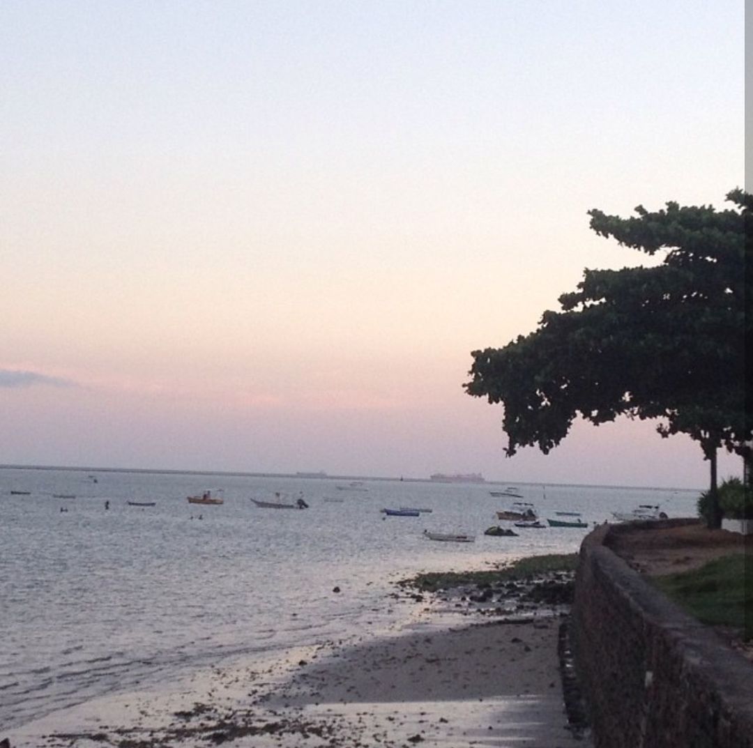 SCENIC VIEW OF BEACH AGAINST CLEAR SKY