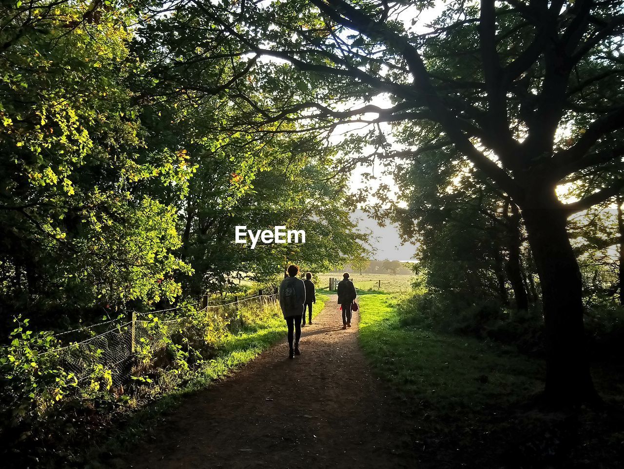 REAR VIEW OF PEOPLE WALKING ON FOREST