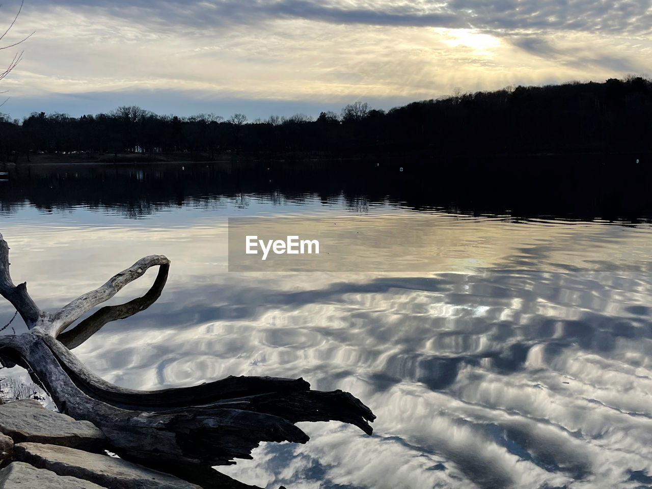 reflection, water, winter, snow, nature, tree, sky, scenics - nature, tranquility, beauty in nature, lake, tranquil scene, cloud, no people, environment, landscape, plant, shore, non-urban scene, ice, cold temperature, forest, morning, land, frozen, outdoors, idyllic, day, wilderness, remote, wave