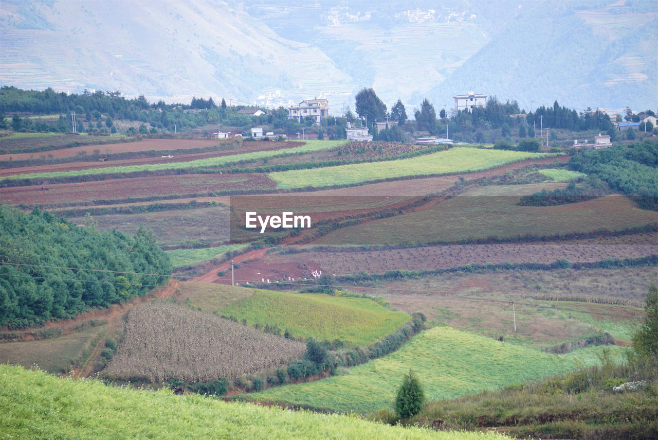 SCENIC VIEW OF FARM AGAINST SKY