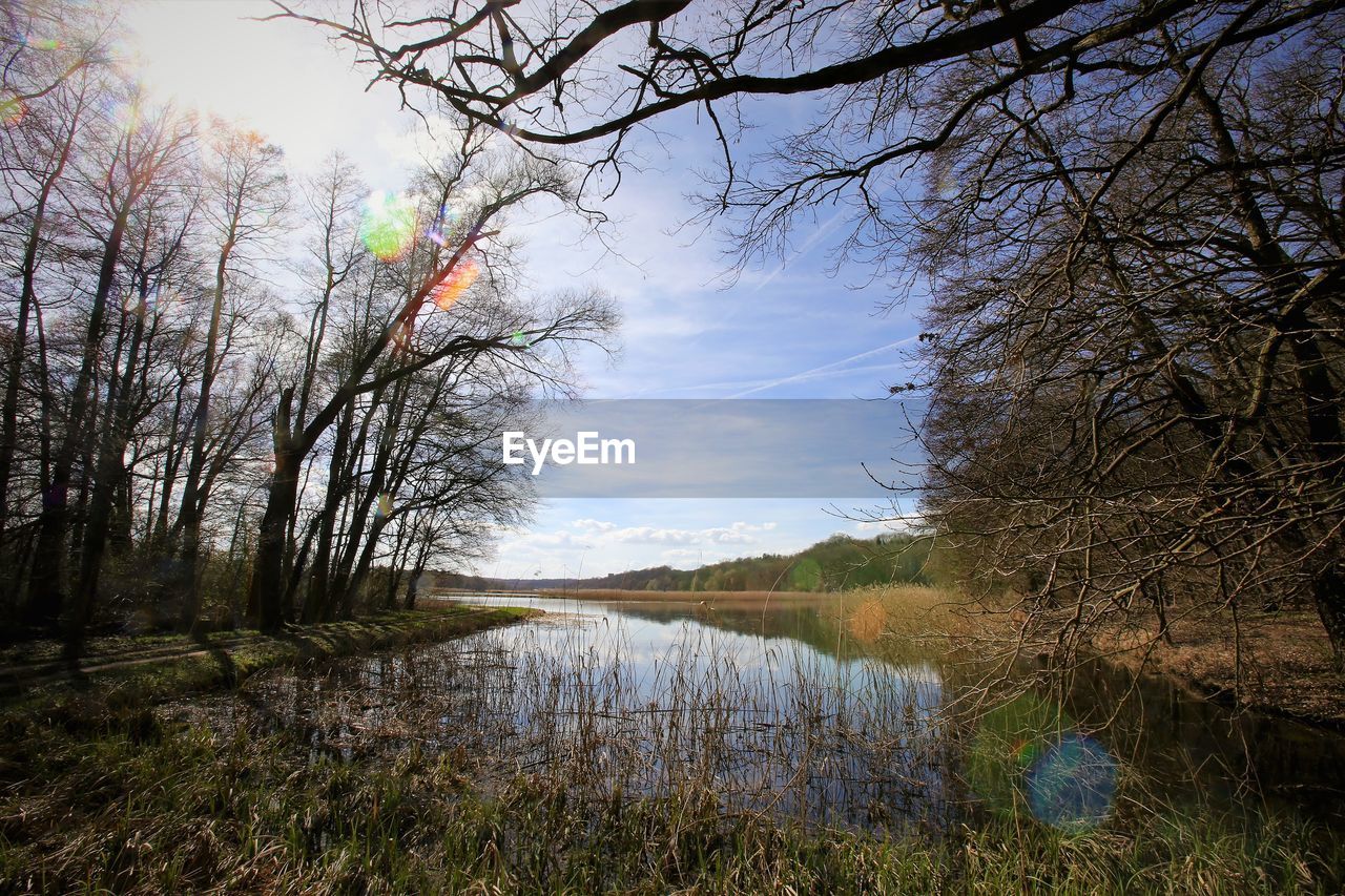 TREES BY WATER AGAINST SKY