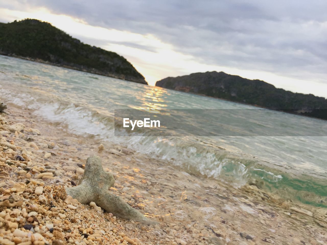 SCENIC VIEW OF BEACH