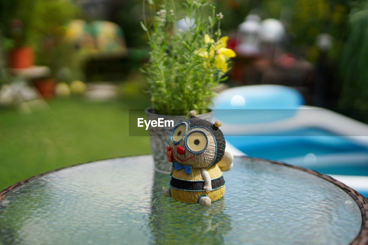 CLOSE-UP OF TOY ON TABLE BY SWIMMING POOL