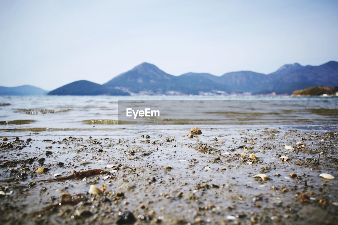 Scenic view of beach against clear sky