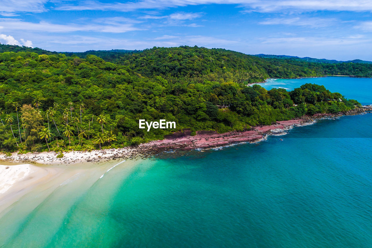 SCENIC VIEW OF SEA BY TREES AGAINST SKY