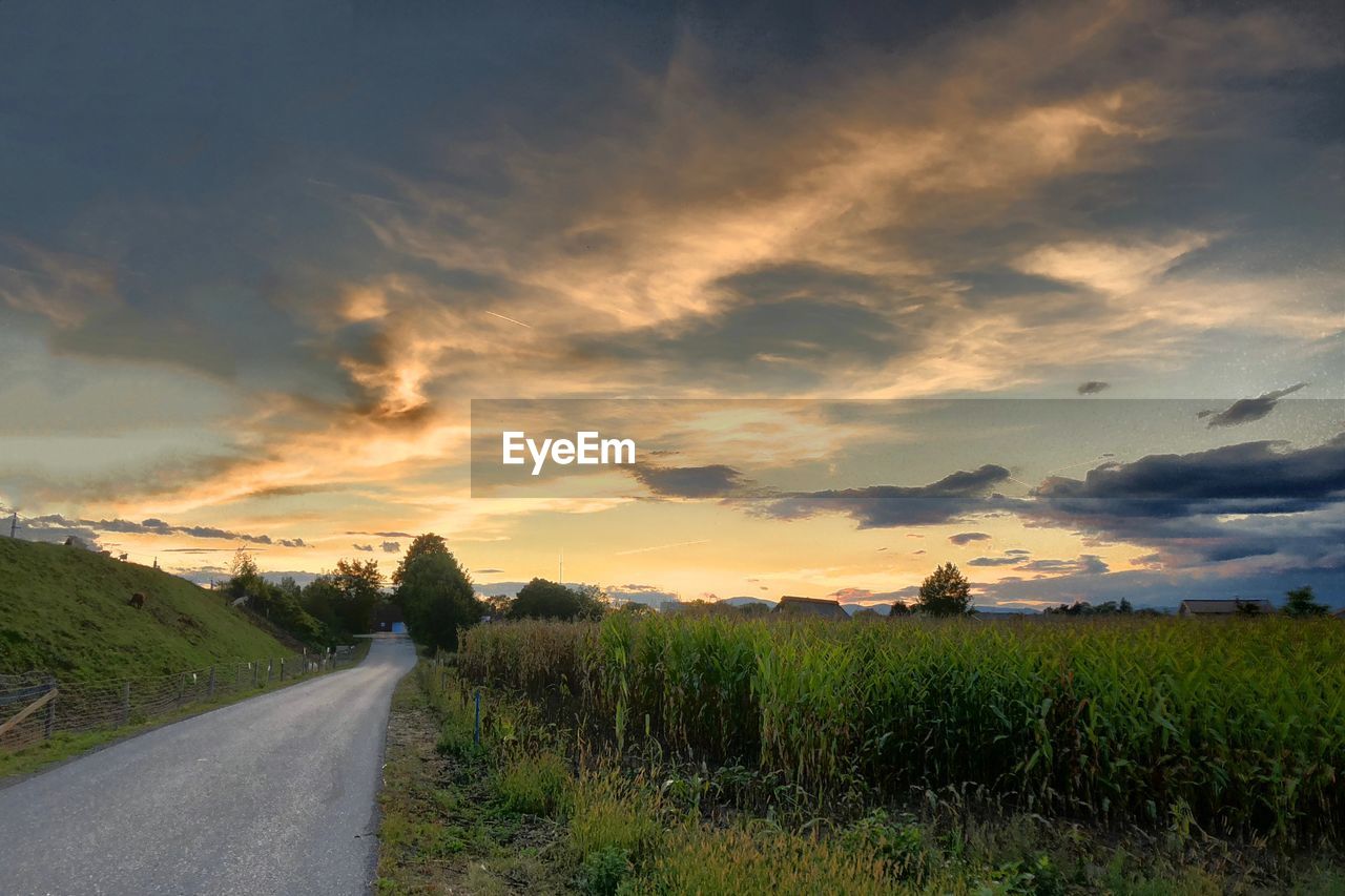 ROAD AMIDST FIELD AGAINST SKY