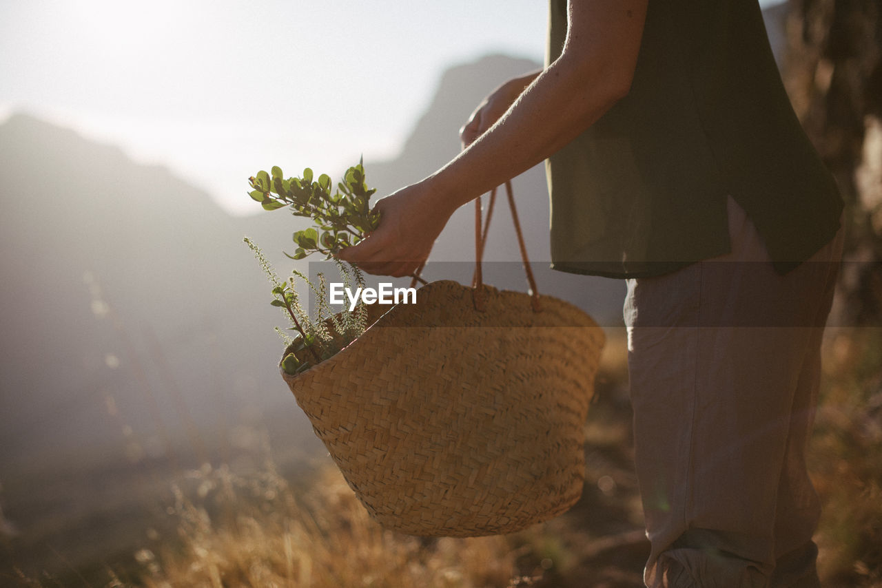 Midsection of person holding plant on field