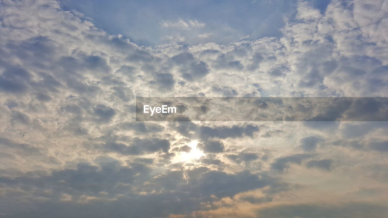 LOW ANGLE VIEW OF SKY IN SUNLIGHT