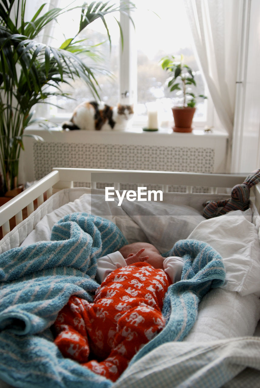 Low section of baby boy relaxing in crib at home