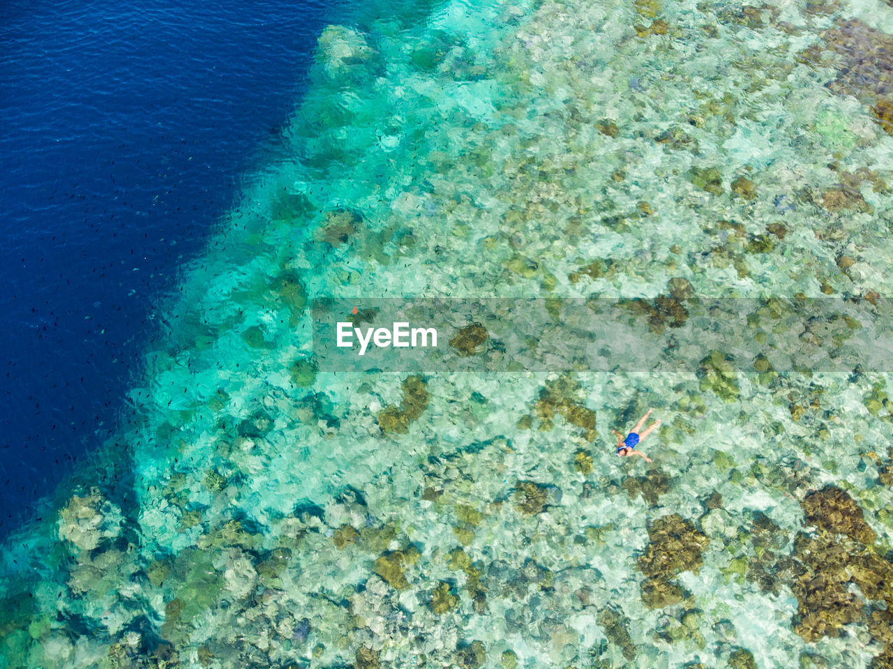 HIGH ANGLE VIEW OF SWIMMING UNDERWATER