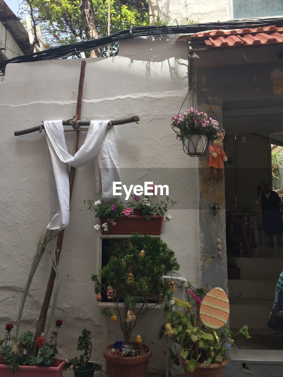 POTTED PLANTS HANGING BY BUILDING