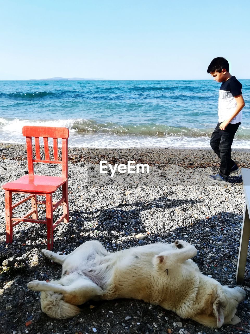 VIEW OF PEOPLE RELAXING ON SHORE