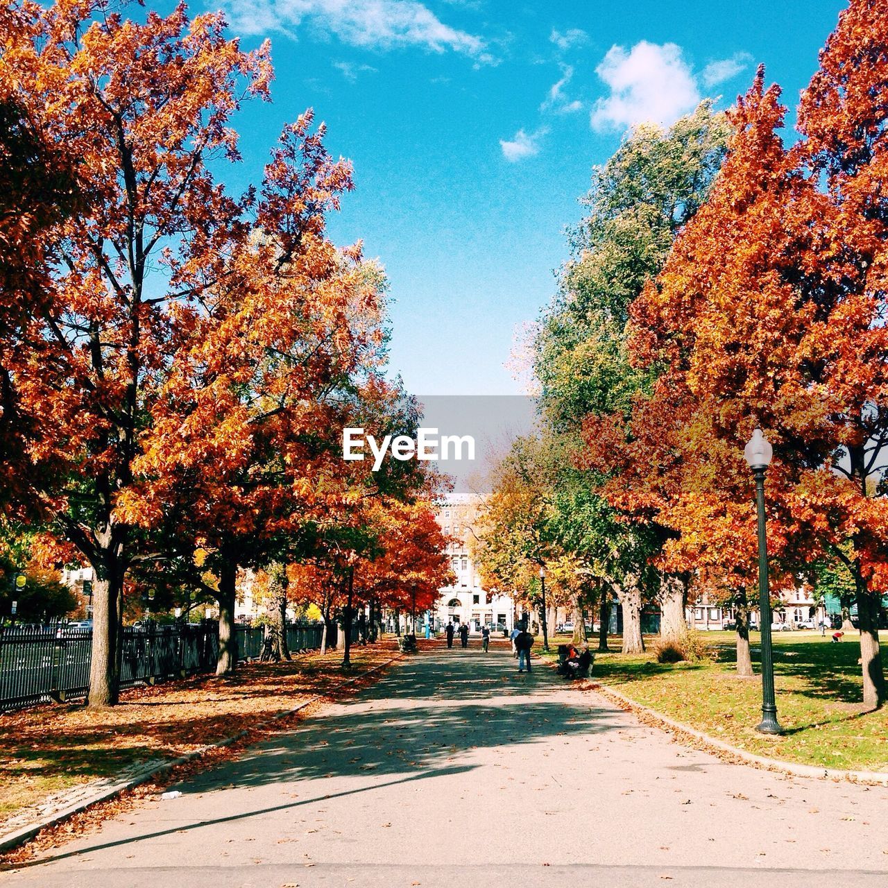 People on footpath amidst autumn trees against sky