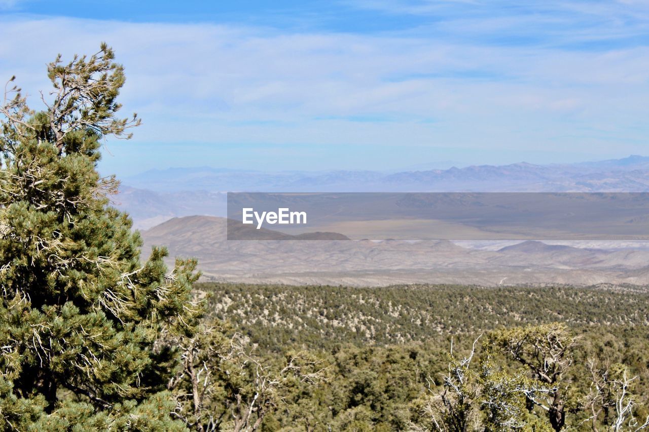 SCENIC VIEW OF LANDSCAPE AGAINST MOUNTAINS