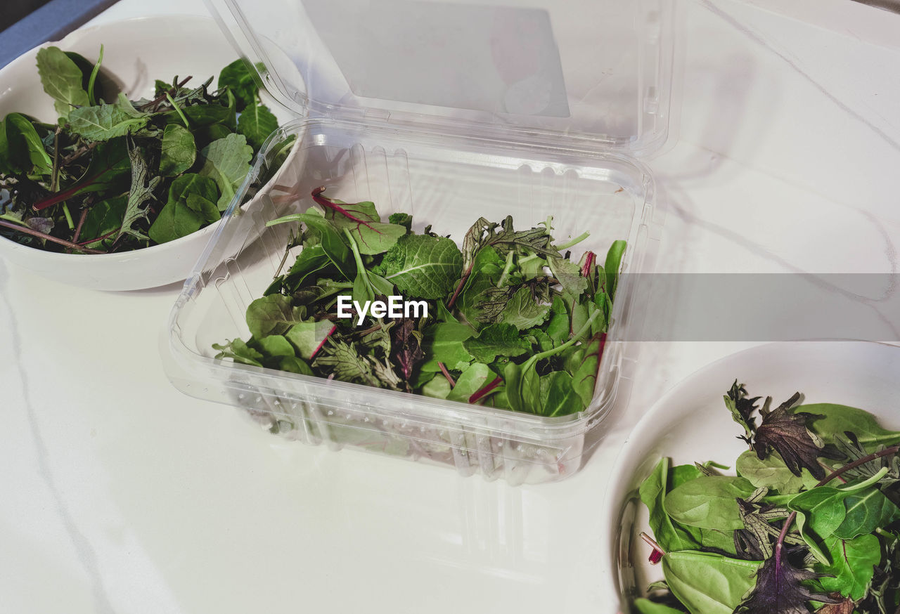 Freshly washed mixed greens are organic and contain kale, chard and spinach in bowls ready to serve