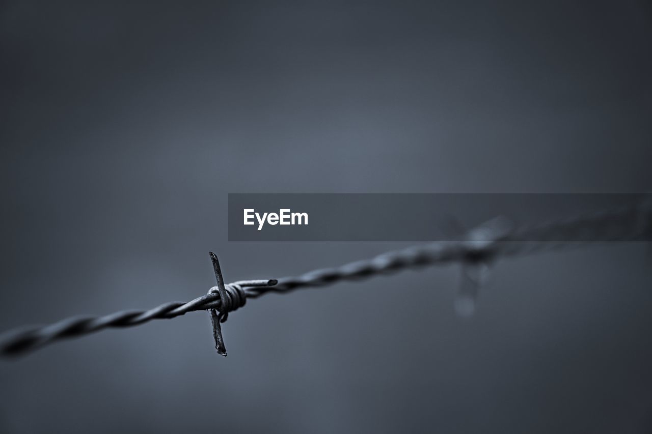 Close-up of barbed wire