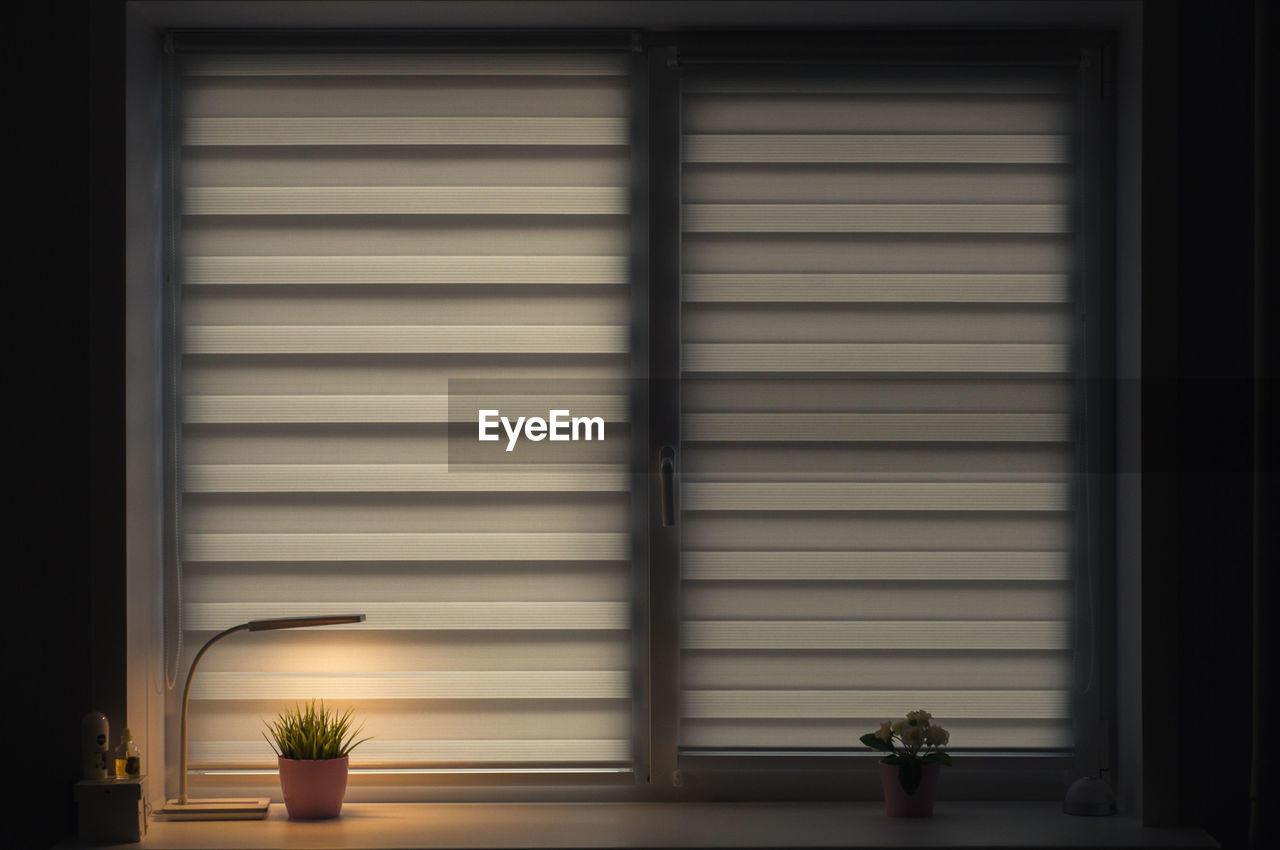 Potted plants seen through window