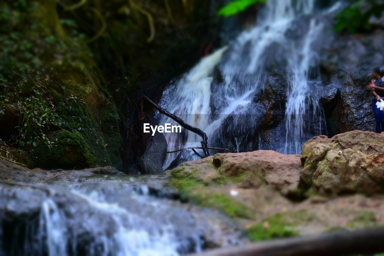 VIEW OF WATERFALL IN FOREST