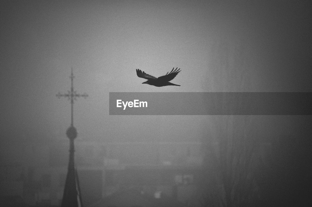 Low angle view of silhouette bird flying against sky