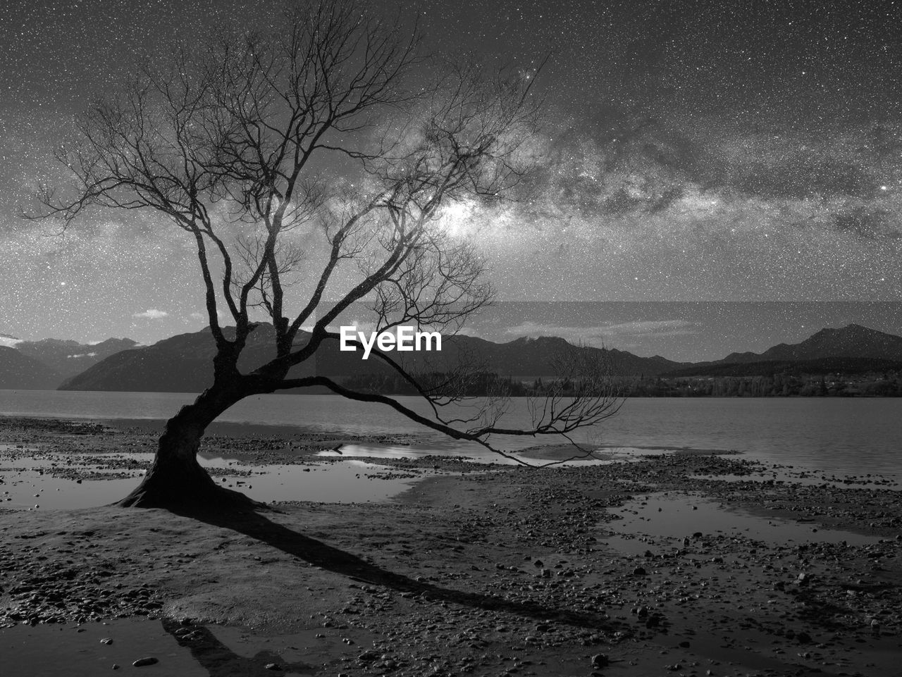 SCENIC VIEW OF LAKE BY TREE AGAINST SKY
