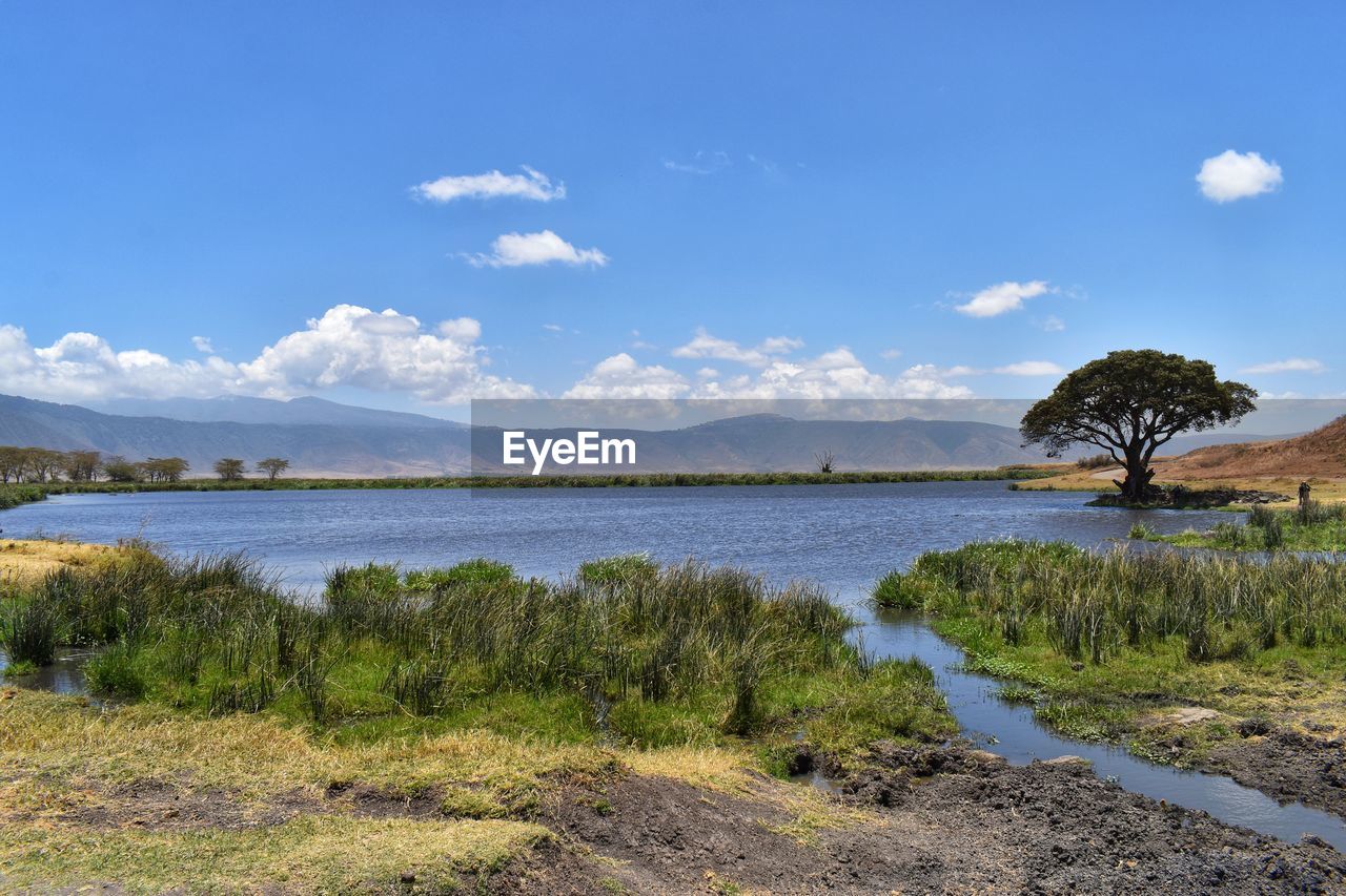 SCENIC VIEW OF LAKE AMIDST TREES AGAINST SKY