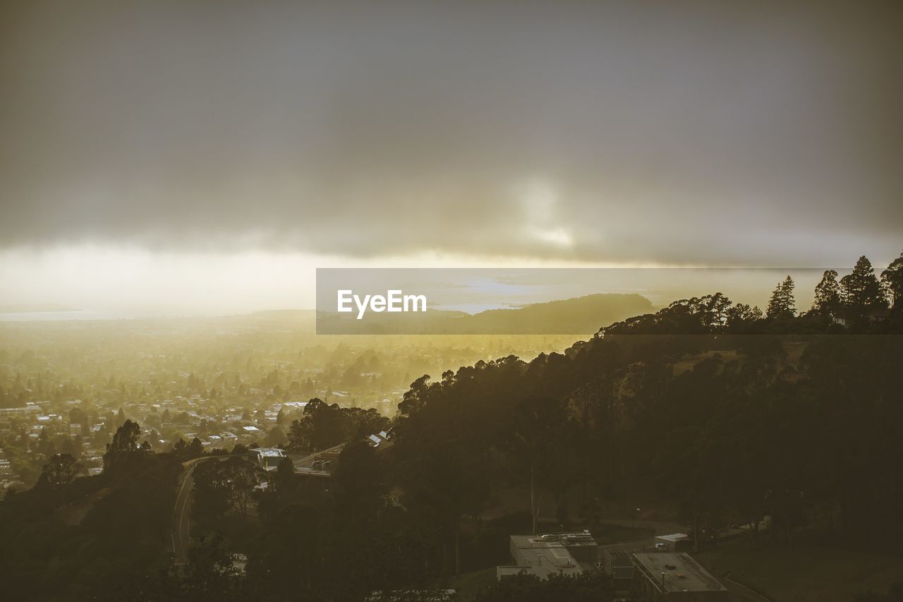 Scenic view of trees against cloudy sky