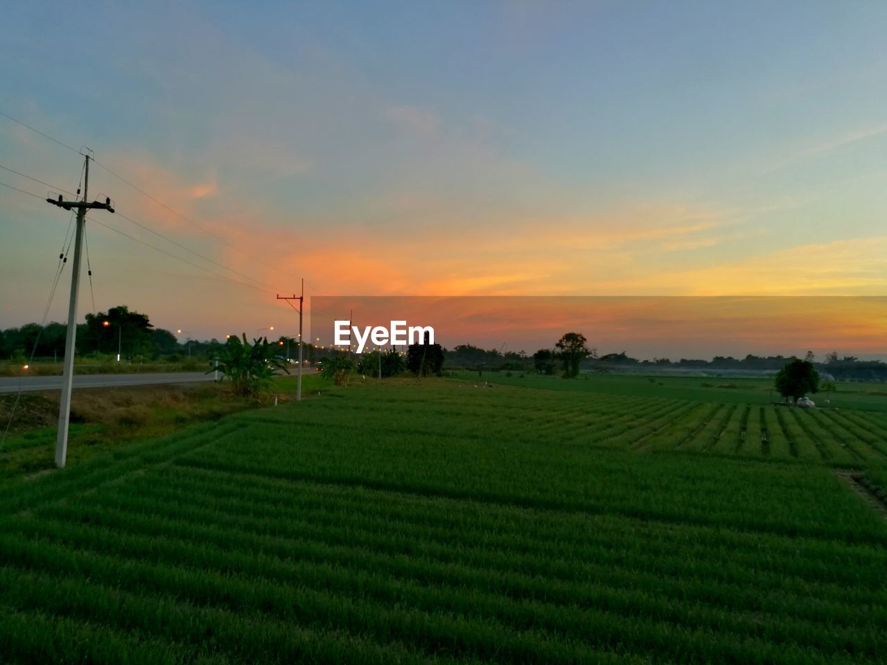 AGRICULTURAL FIELD AGAINST SKY DURING SUNSET