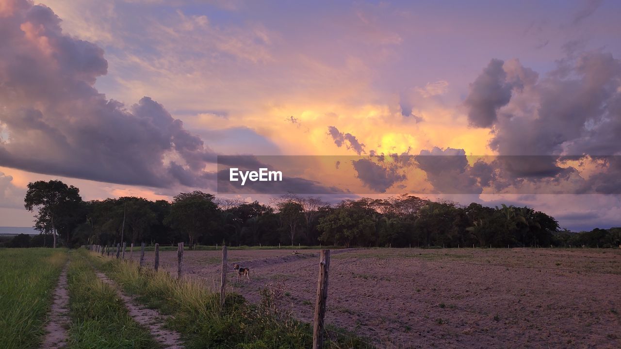 sky, landscape, environment, cloud, morning, land, field, plant, nature, scenics - nature, beauty in nature, horizon, rural scene, dawn, sunrise, agriculture, rural area, prairie, no people, plain, tree, tranquility, grass, outdoors, dramatic sky, sunlight, hill, sun, farm, crop, fence, tranquil scene, multi colored, social issues, panoramic, travel, twilight, food, food and drink