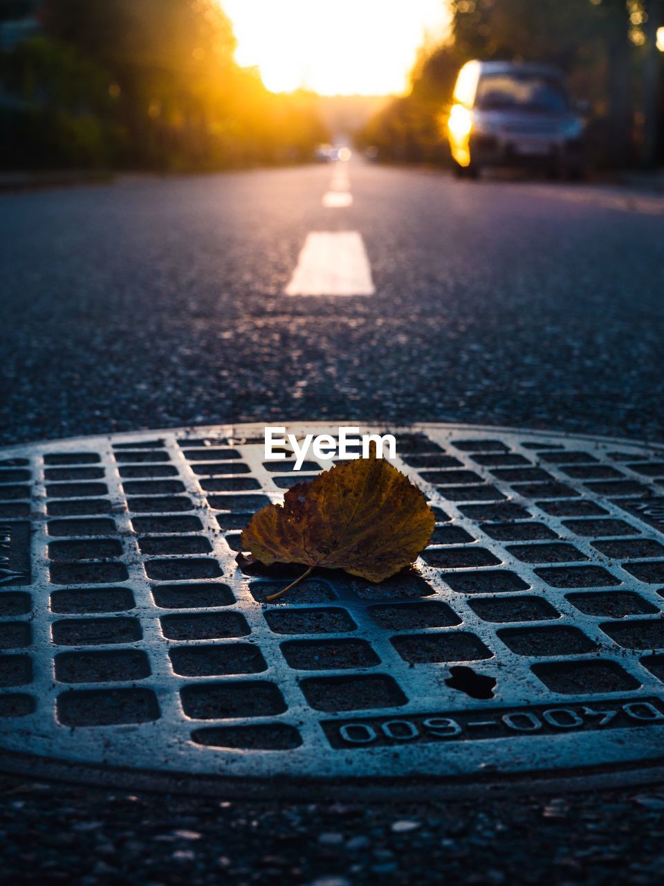 CLOSE-UP OF SUNLIGHT FALLING ON STREET