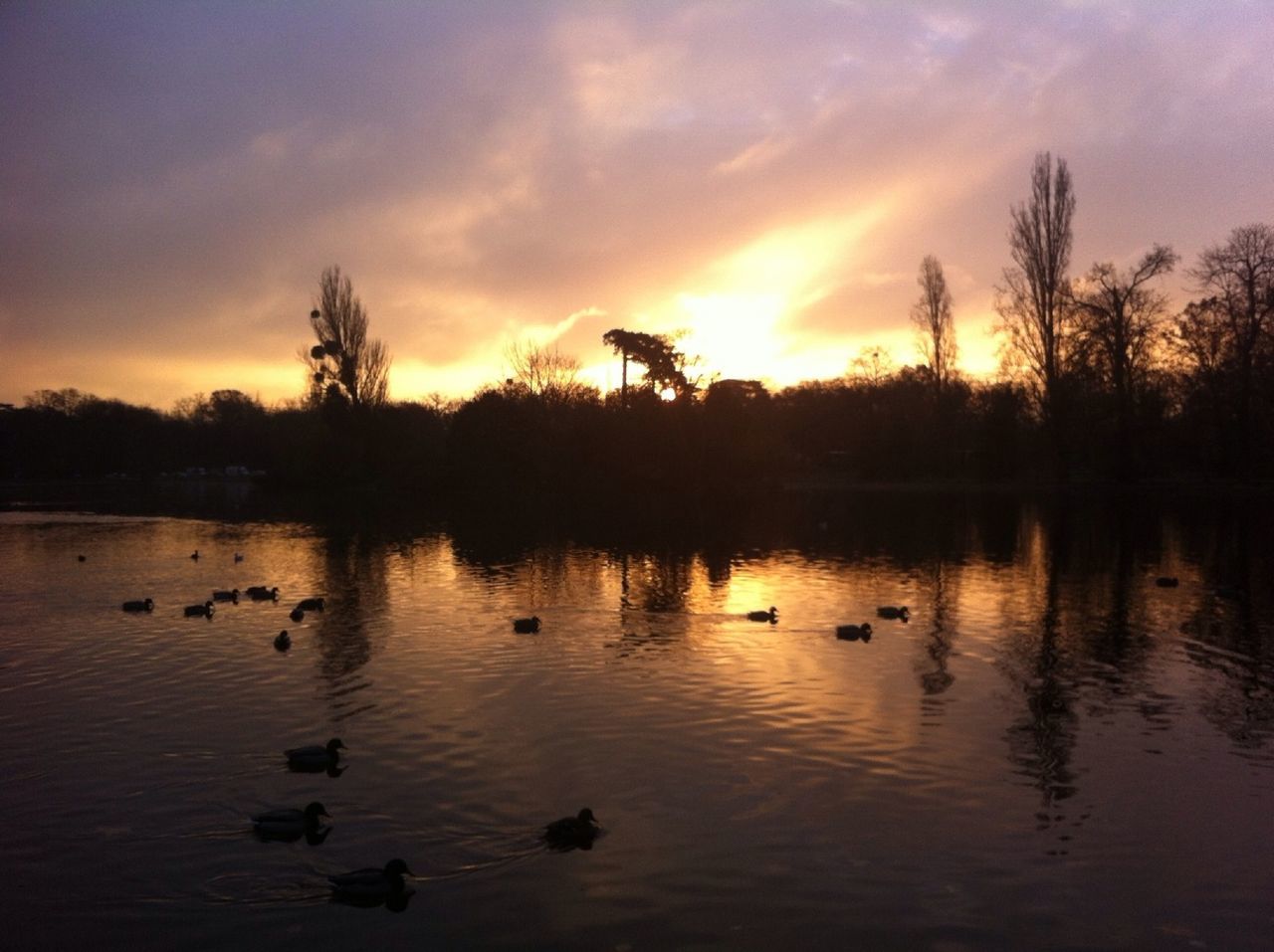 Lake at sunset