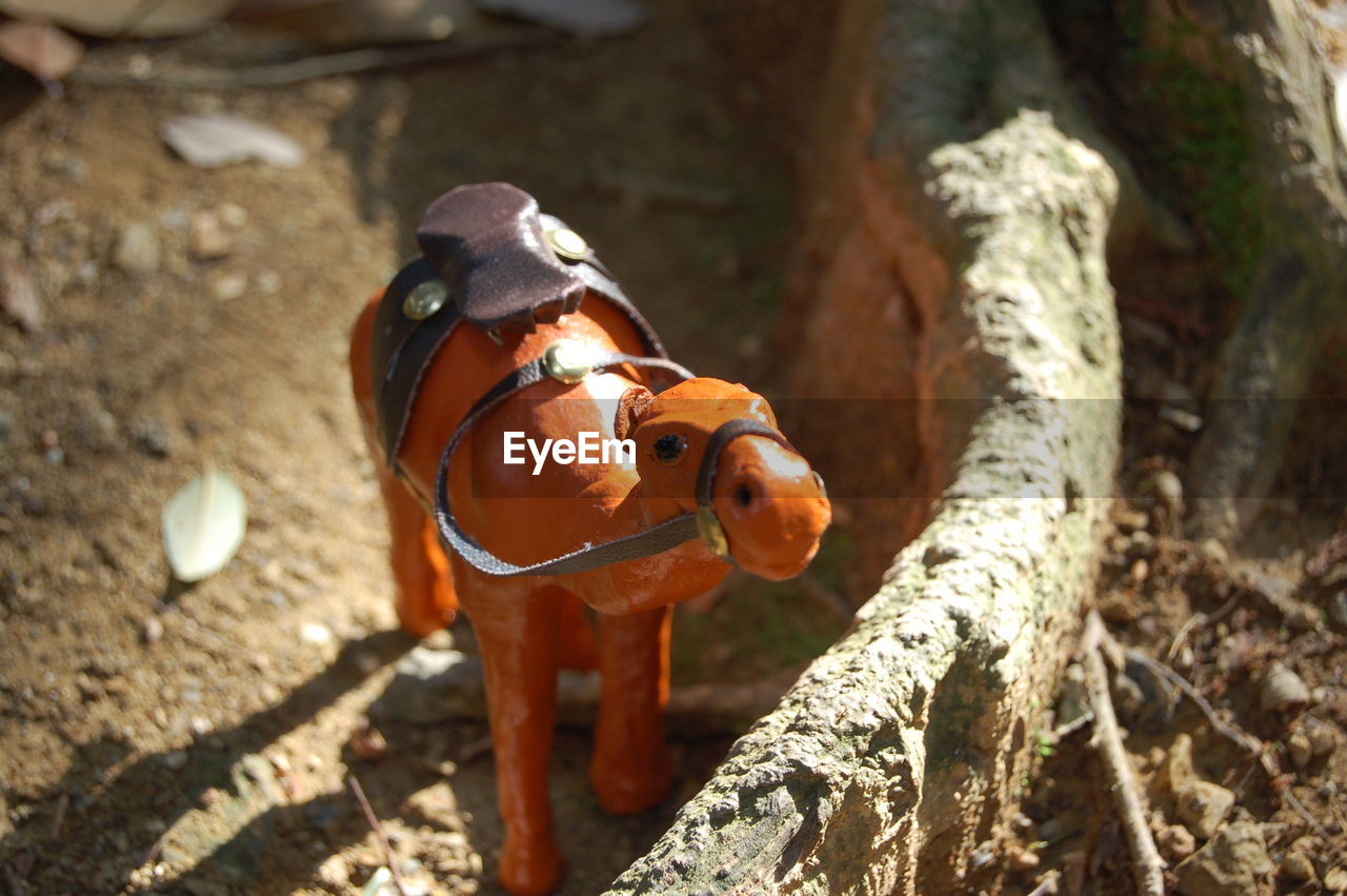 High angle view of camel sculpture by tree root