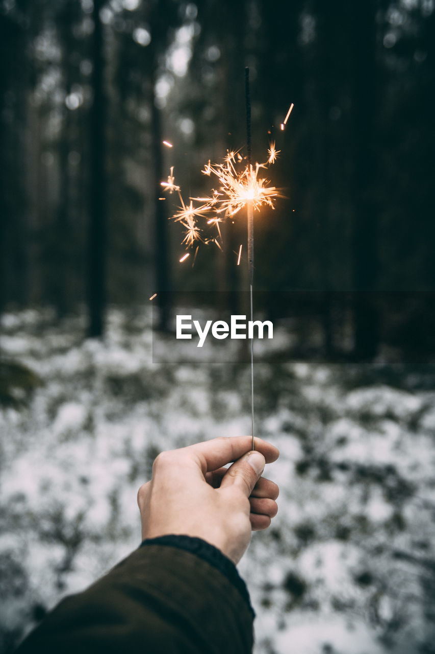 Cropped hand holding sparkler in forest during winter