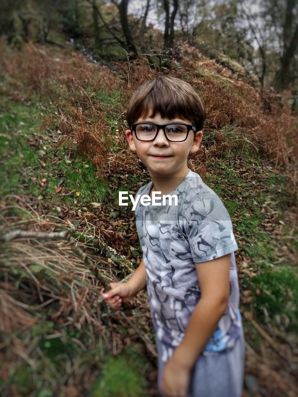 Portrait of boy standing at forest