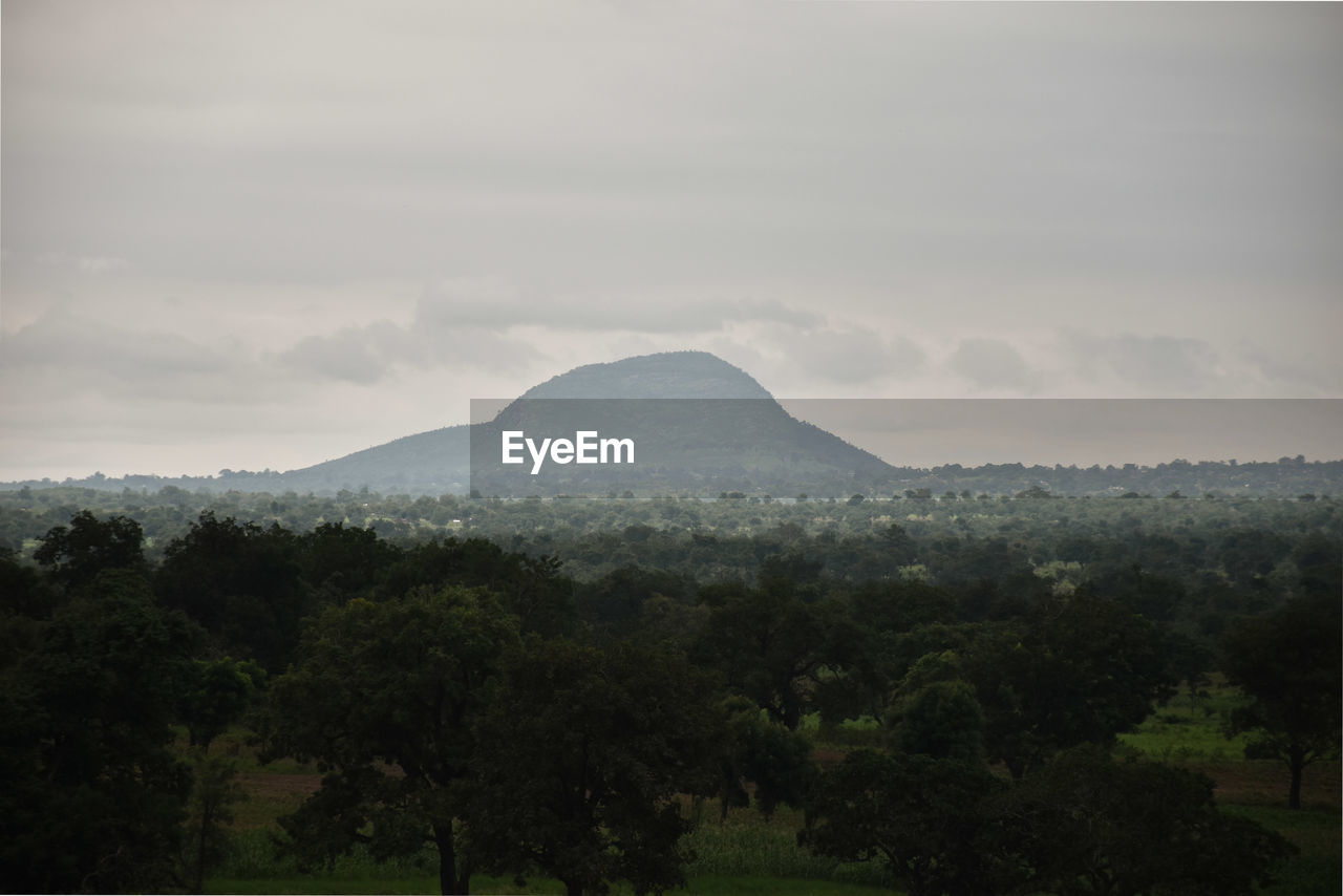 SCENIC VIEW OF TREES AND LANDSCAPE AGAINST SKY