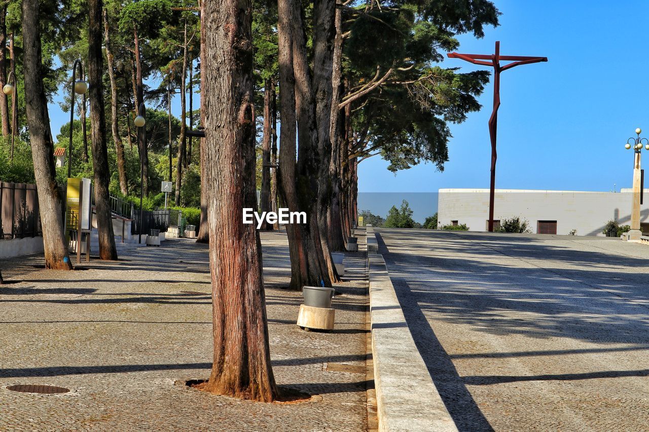 Road by trees in city against sky