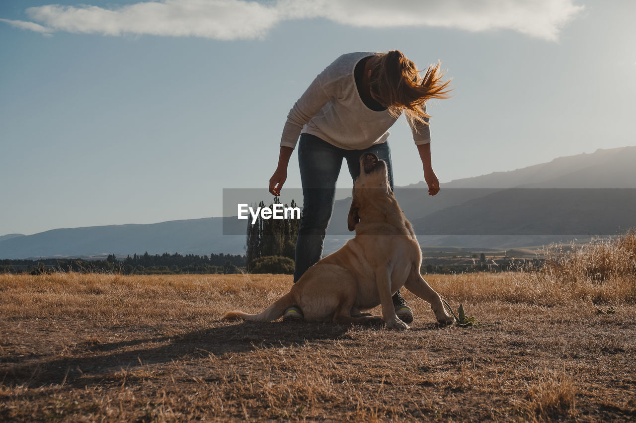 VIEW OF DOG ON FIELD