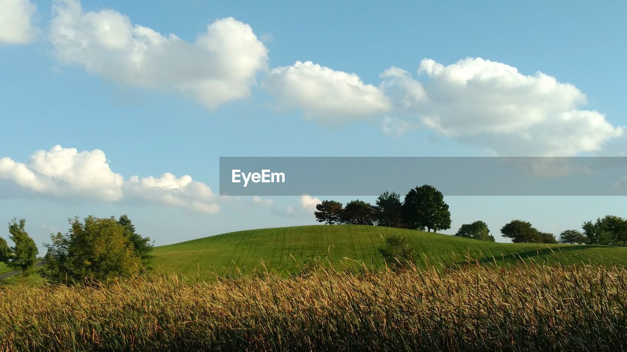 Scenic view of field against clear sky