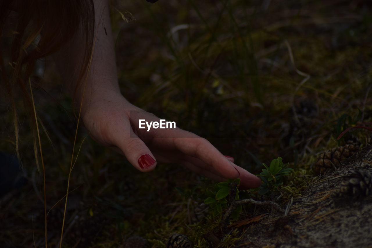 Close-up of woman hand on field