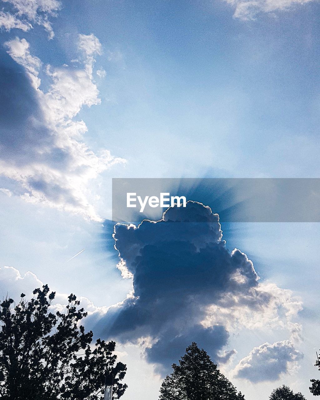 LOW ANGLE VIEW OF SILHOUETTE TREE AGAINST SKY