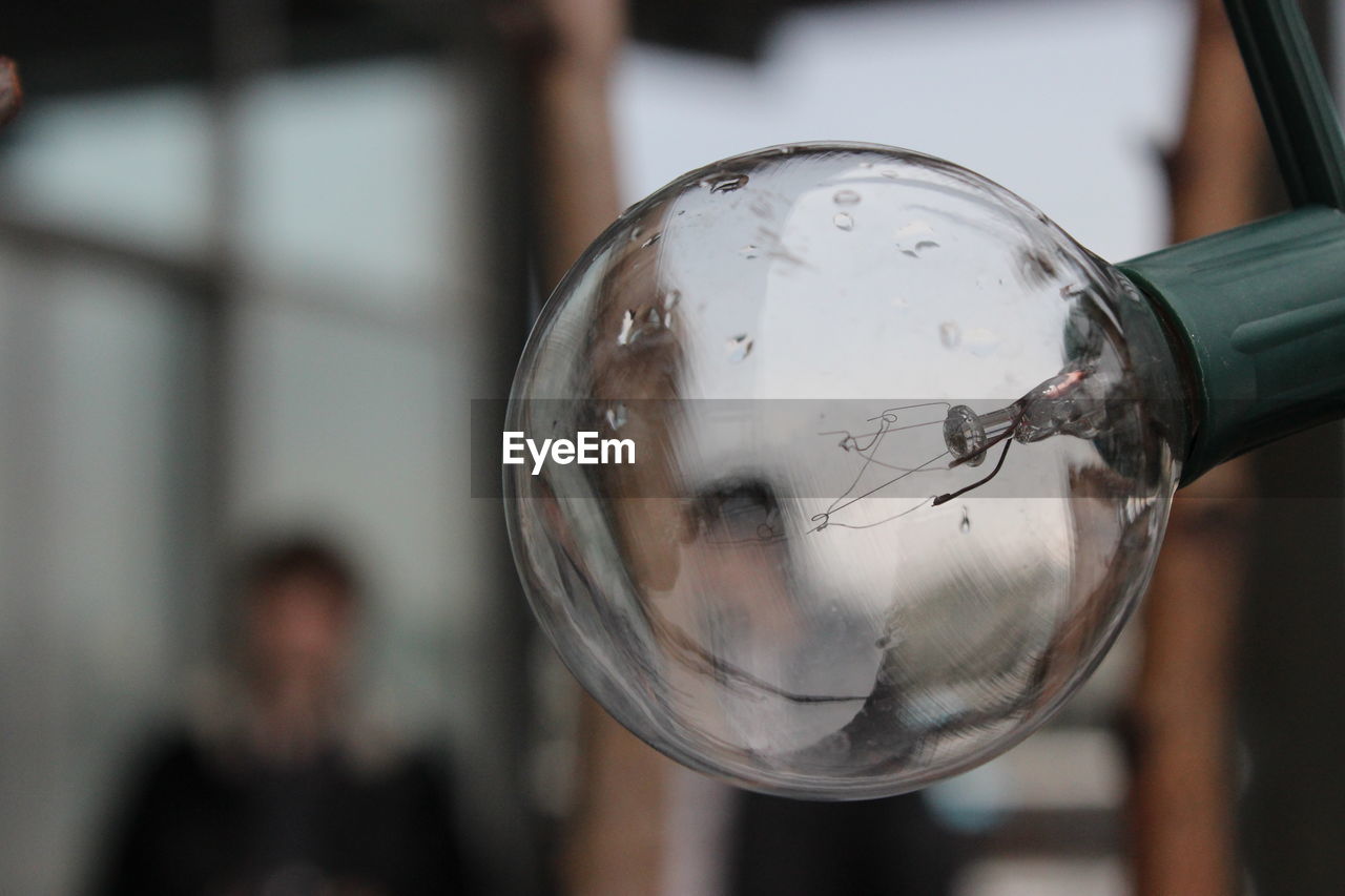 Close-up of wet light bulb