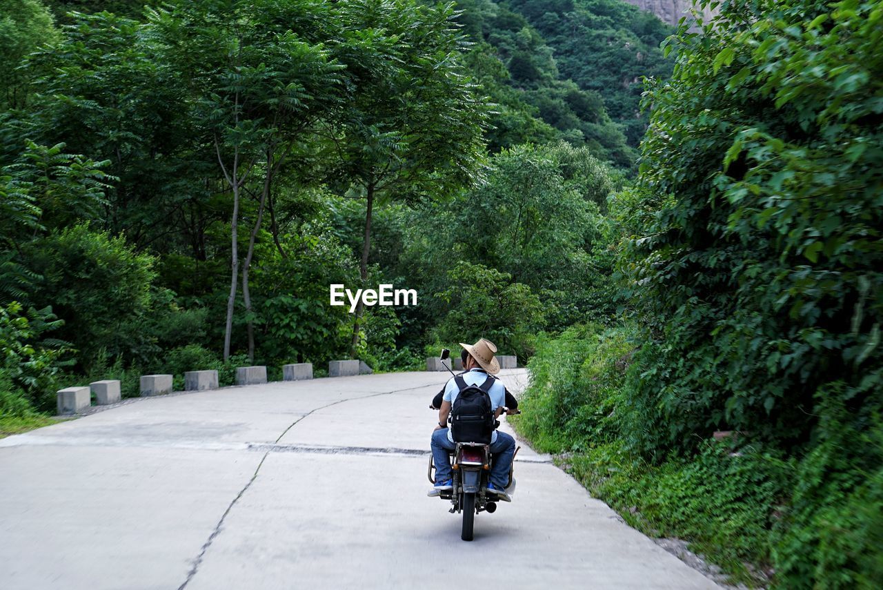 Rear view of people on motorcycle amidst trees