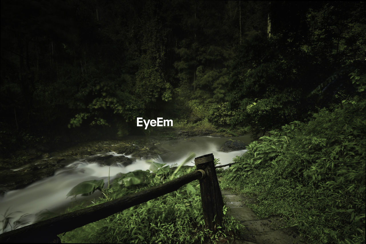 Scenic view of waterfall in forest